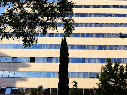 Centro Empresarial El Trovador - Opiniones y contacto Centro Empresarial El Trovador - Opiniones y contacto