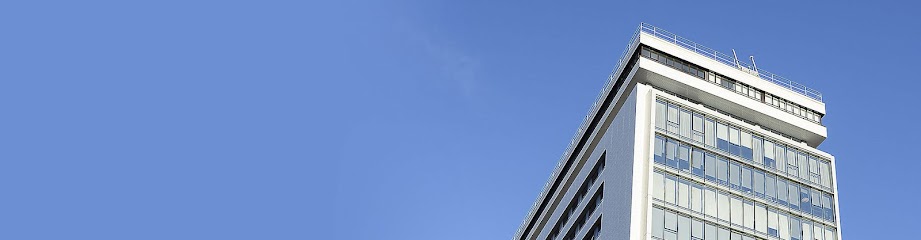 SPANKOR CENTRO DE NEGOCIOS BILBAO - Opiniones y contacto SPANKOR CENTRO DE NEGOCIOS BILBAO - Opiniones y contacto