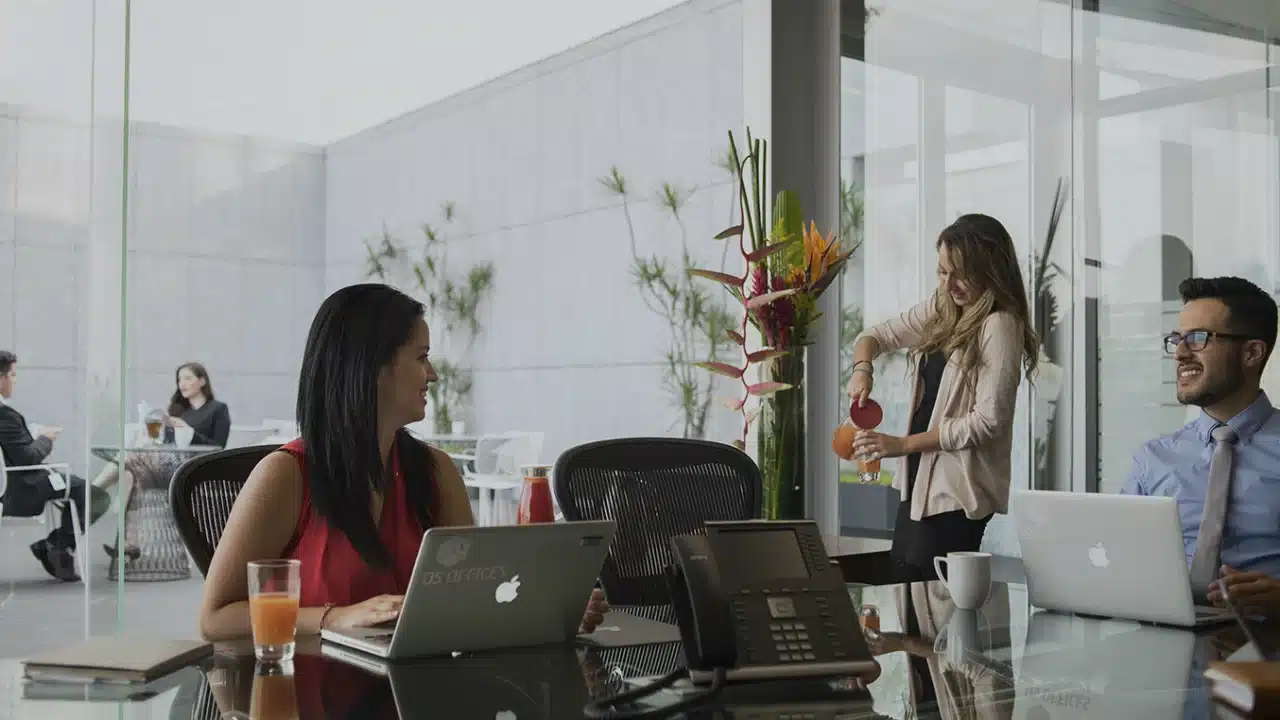 Macedonia Workplace - Opiniones Macedonia Workplace - Opiniones