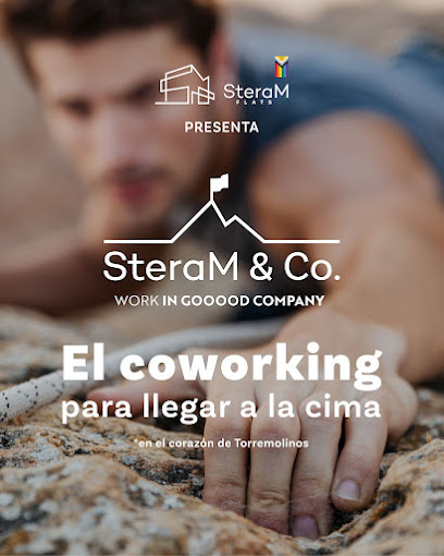 SteraM and Co - Opiniones SteraM and Co - Opiniones